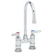 A T&S chrome deck-mounted faucet with two lever handles.