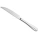 An Acopa stainless steel steak knife with a silver handle on a white background.