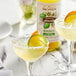 A glass of Monin Margarita with a lime and orange slice on the rim and a bottle of Monin HomeCrafted Margarita Mix.