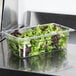 A clear plastic container of green and red lettuce.