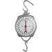 An AvaWeigh industrial hanging scale with hooks.