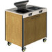 A Spring USA mobile induction cooking cart with two induction ranges on the counter.