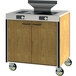A Spring USA mobile induction cooking cart with two induction ranges on a counter.
