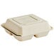 A white Tellus bagasse clamshell container with three compartments and two lids.
