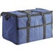 A navy insulated cooler bag with black straps.