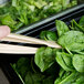 A person using Thunder Group beige polycarbonate tongs to serve spinach at a salad bar.