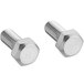 A pair of stainless steel screws with a hexagon head.