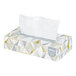 A close-up of a Kleenex Professional tissue box with gold foil on it.