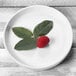 A white Elite Global Solutions Monet melamine plate with a raspberry on it.