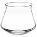 A clear Rastal Teku beer taster glass with a white background.