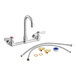 A Regency wall mount kitchen faucet with two handles and a 3 1/2" swivel gooseneck spout.