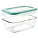 An OXO Good Grips rectangular glass container with a plastic lid.