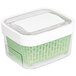 An OXO green and white plastic produce keeper with lid.