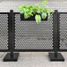 A SelectSpace black circle pattern partition panel with a planter holding green leaves on top.