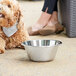 A dog lying on the ground next to a Linden Sweden stainless steel dog bowl.