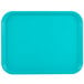A teal plastic fast food tray.