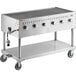 A Backyard Pro stainless steel gas grill with four burners.