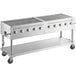 A Backyard Pro stainless steel outdoor grill with four burners.