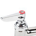 A chrome T&S deck-mounted faucet with lever handles.