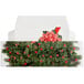 A white Bow and Berries print candy box with a decorated Christmas tree in red and green.