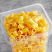 A plastic container filled with Barilla Mezzi Rigatoni pasta.