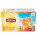 A white Lipton box of 24 unsweetened iced tea filter bags.