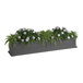 A Mayne Fairfield graphite grey window box with white flowers and ferns.