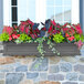 A Mayne Fairfield graphite grey window box with flowers and plants on a stone wall.