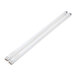 A pair of white fluorescent tubes.