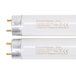 A white Paraclipse T5 fluorescent tube with a silver cap.