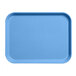 A blue rectangular tray.
