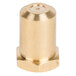 A gold metal cylinder with a brass threaded nut.