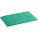 A green scouring pad on a white background.