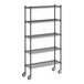 A Regency black wire shelving starter kit with wheels and 5 shelves.