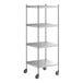 A Regency stainless steel mobile shelving unit with 4 shelves on wheels.