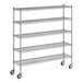 A Regency chrome mobile wire shelving starter kit with wheels.