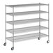 A Regency chrome wire shelving unit with wheels and five shelves.