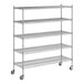 A wireframe of a Regency chrome mobile wire shelving unit with 5 shelves.