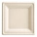 A white square EcoChoice bagasse plate with a white background.