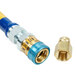 A blue and yellow Dormont gas hose with a brass fitting.