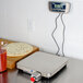 An Edlund stainless steel digital pizza scale on a counter with a pizza.