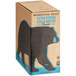 A Wandering Bear Bag in Box of Vanilla Organic Cold Brew Coffee on a store counter.