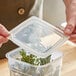 A person holding a Cambro translucent plastic container with a green plant inside.