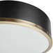 A Globe matte black and antique brass flush mount light with frosted glass shade.