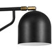 A black lamp with a brass pole and gold trim on the shade.