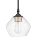A Globe pendant light with clear glass shade and black metal frame.