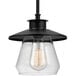 An oil-rubbed bronze and clear glass pendant light with a light bulb with a filament.