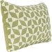 An Astella green and white geometric throw pillow with a white border.