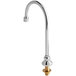 A silver T&S gooseneck faucet nozzle with a gold screw.