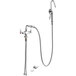 A T&S chrome pot and kettle filler faucet with hook nozzle and hose.